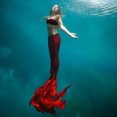 Sirens and their enchantment in maritime narratives