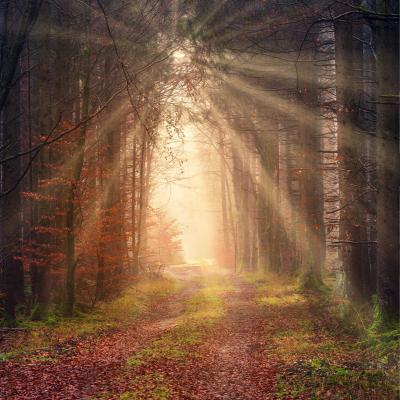 Tales of dawn and their cultural significance