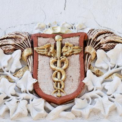 The mysteries of the caduceus and its symbolic evolution