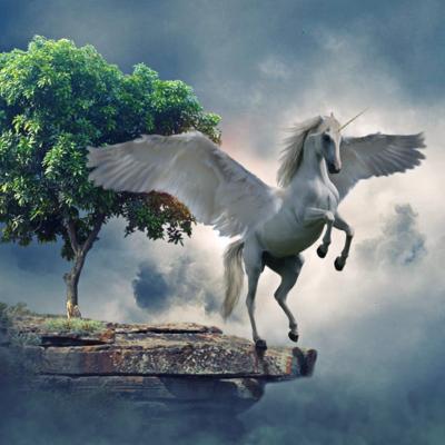 The secrets of unicorns in medieval literature